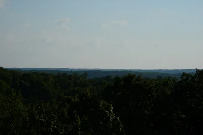 DSC_2801 (Large).JPG